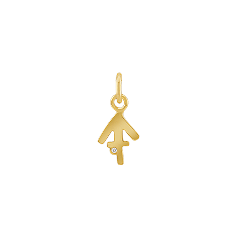 ZODIAC CHARM